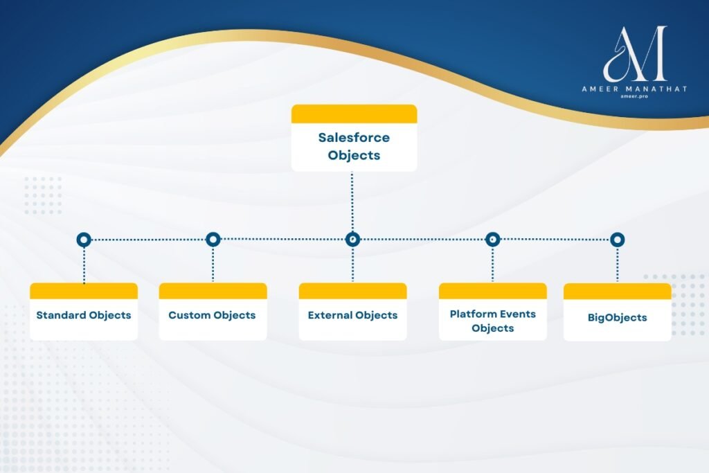 Salesforce Objects